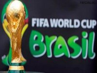 
تمام رکورد‌های جام جهانی برزیل
