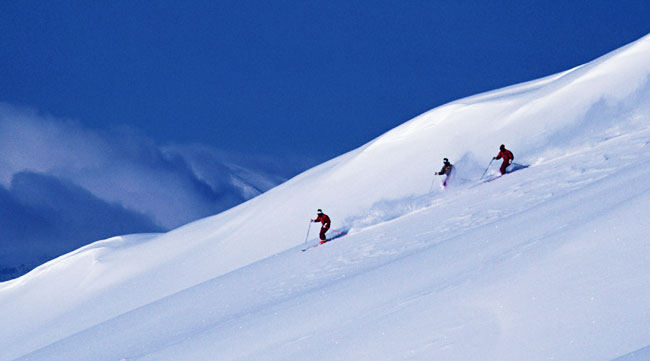 تجلیل جامعه اسکی ایران از سرپرست فدراسیون