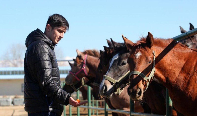 ورود وزارت ورزش به دوپینگ اسب سردار