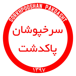 مالک استقلال‌جنوب:نام‌تیم ما پرسپولیس‌پاکدشت نیست!