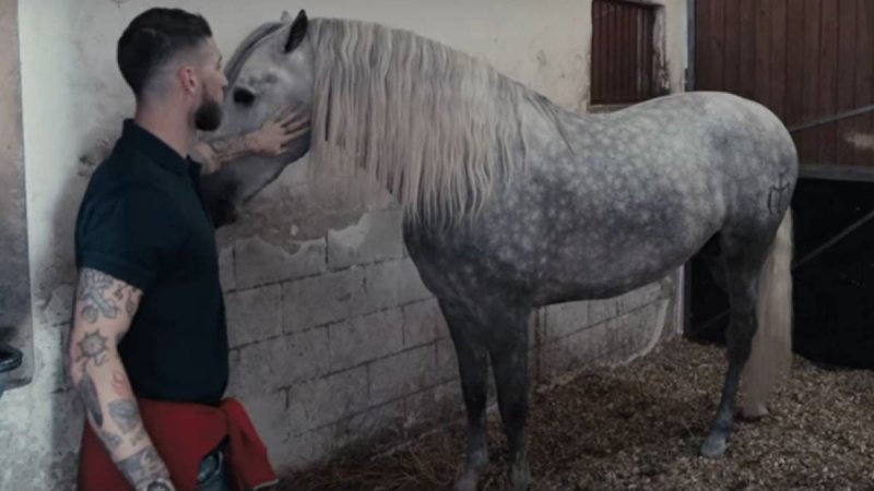 اسب سرخیو راموس قهرمان جهان شد