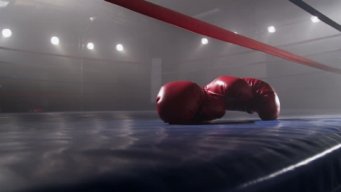سرپرست دبیری فدراسیون بوکس معرفی شد