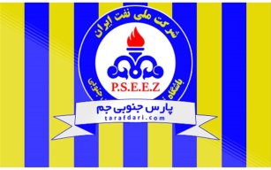 اعضای کادرفنی پارس جنوبی معرفی شدند