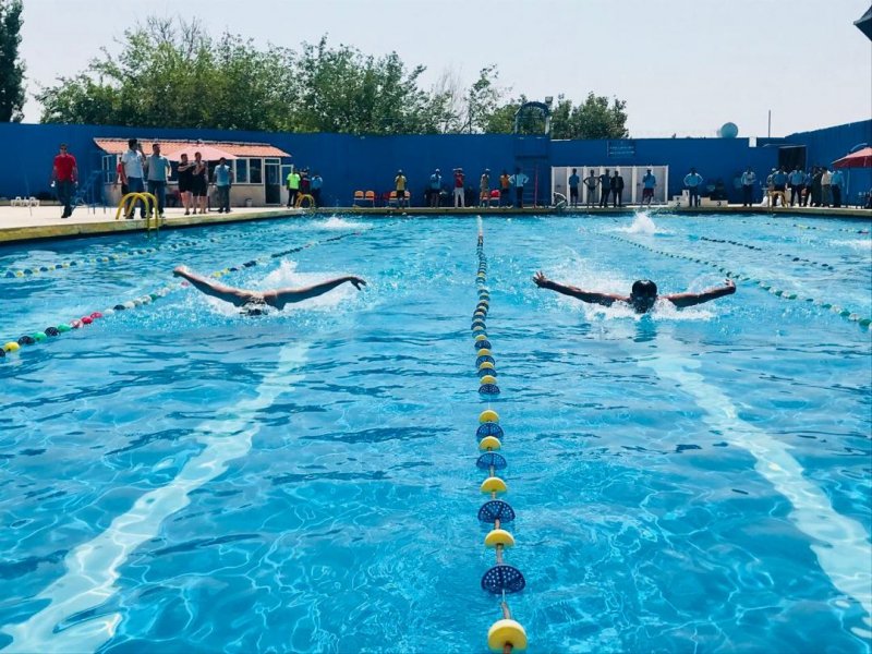 عقاب نیروی هوایی قهرمان مسابقات شنای ارتش شد