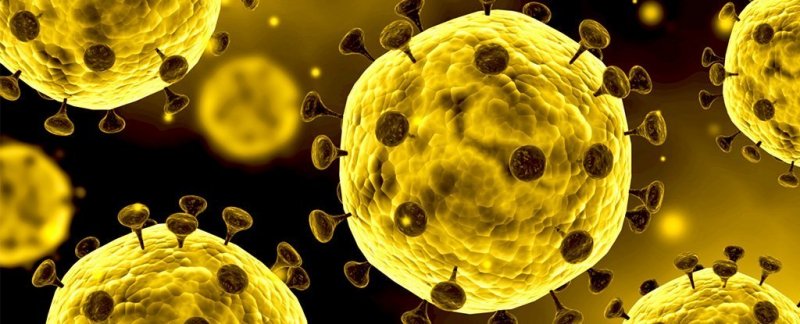 آخرین آمار مبتلایان به ویروس کرونا در ایران