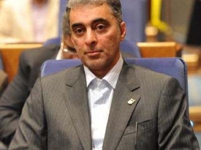 سعد محمدی:کرمان جشن مس را کامل می کند