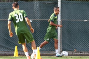توضیح احمد زندهروح درباره پیشنهاد پرسپوليس