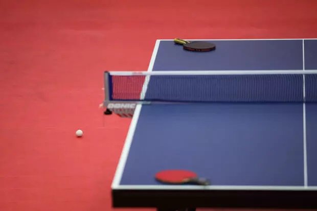 قضاوت 2 داور تنیس روی میز ایران در مسابقات فرانسه
