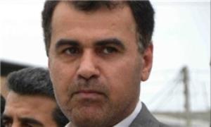 نجف نژاد: از قلعهنویی مشورت میگیریم