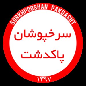 مالک استقلالجنوب:نامتیم ما پرسپولیسپاکدشت نیست!