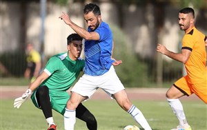 شجاعیان: یا زیر فشاریم یا در حال خواب!