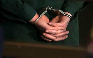 یکی از مدیران پرسپولیس بازداشت شد!