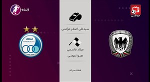 نظر کارشناسان داوری درباره بازی شاهین - استقلال