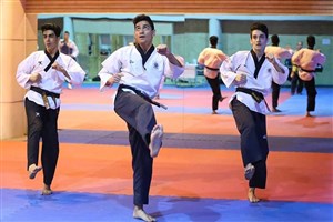 سهرابی: اتحاد در تیم ملی پومسه موج میزد