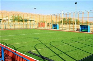 سازمان لیگ